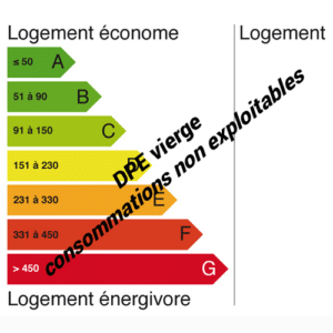 étiquette diagnostic performance énergétique vierge